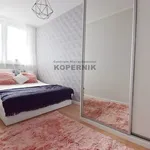 Rent 2 bedroom apartment of 36 m² in Toruń