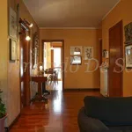 Rent 3 bedroom apartment of 106 m² in Torino