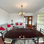 Rent 3 bedroom apartment of 80 m² in Novara