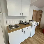 Rent 1 bedroom apartment of 20 m² in Capital City of Prague