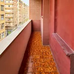 Alquilar 4 dormitorio apartamento en Valencia