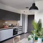 Rent 1 bedroom apartment of 45 m² in Roma