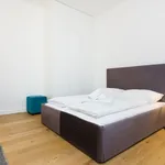 Miete 1 Schlafzimmer wohnung von 452 m² in vienna