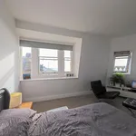 Rent 3 bedroom house in South East England