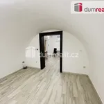 Rent 1 bedroom apartment in Břeclav