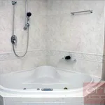 Rent 1 bedroom apartment in Prague