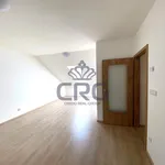 Rent 4 bedroom apartment in Brno venkov