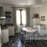 Rent 3 bedroom apartment of 55 m² in Florence