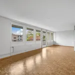 Rent 4 bedroom apartment of 88 m² in Rudolfstetten