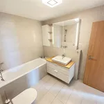 Rent 4 bedroom apartment of 104 m² in Prague