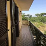 Rent 4 bedroom apartment of 120 m² in Cesa