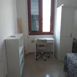 Rent 2 bedroom apartment of 20 m² in Roma