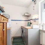 Rent 1 bedroom apartment in munich