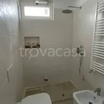 Rent 2 bedroom apartment of 50 m² in Bari