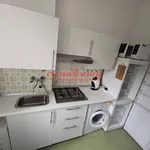 Rent 1 bedroom apartment of 40 m² in Pavia