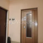 Rent 2 bedroom apartment of 50 m² in Torino