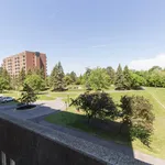 Rent 1 bedroom apartment in Ottawa