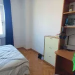 Rent 2 bedroom apartment of 55 m² in Modena