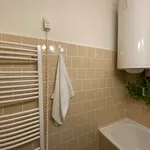 Rent 1 bedroom apartment in Nový Jičín