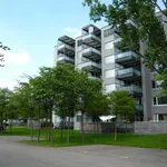 Rent 4 bedroom apartment of 97 m² in Dübendorf