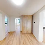 Rent 3 bedroom apartment in Prague