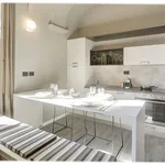 Rent 1 bedroom apartment of 46 m² in Turin