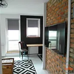 Rent 1 bedroom apartment of 31 m² in Poznań