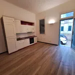 Rent 4 bedroom apartment of 110 m² in Venezia