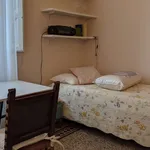 Rent a room of 145 m² in florence