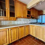 Rent 5 bedroom house of 200 m² in Seravezza