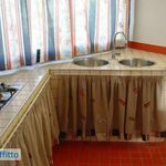 Attico arredato con terrazzo Scoglitti