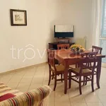 Rent 1 bedroom apartment of 70 m² in Vibo Valentia