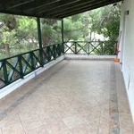 Rent 1 bedroom house of 350 m² in Penteli Municipal Unit