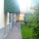 Rent 2 bedroom apartment of 50 m² in Ferrara