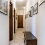 Rent 3 bedroom apartment of 132 m² in Roma