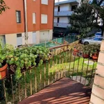 Rent 3 bedroom apartment of 65 m² in Padova