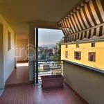 Rent 2 bedroom apartment of 45 m² in Bologna