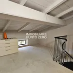 Rent 5 bedroom apartment of 200 m² in Parma