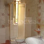 Rent 1 bedroom apartment of 50 m² in Roma