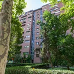 Rent 4 bedroom apartment in Madrid