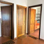 Rent 2 bedroom apartment of 45 m² in Roma