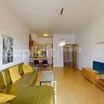 Rent 2 bedroom apartment of 53 m² in Praha