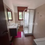 Rent 2 bedroom apartment of 65 m² in Bergamo