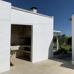 Rent 3 bedroom house of 10000 m² in Melides