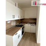 Rent 2 bedroom apartment of 72 m² in Pilsen