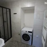 Rent 2 bedroom apartment of 99 m² in Hradec Králové