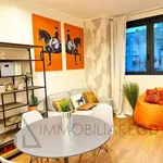 Rent 2 bedroom apartment of 50 m² in Torino