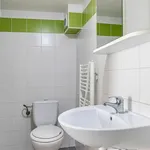 Rent 1 bedroom apartment in Brno