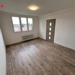 Pronájem bytu 2+1 52m²