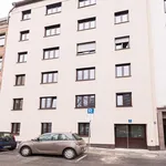 Rent 3 bedroom apartment in Munich